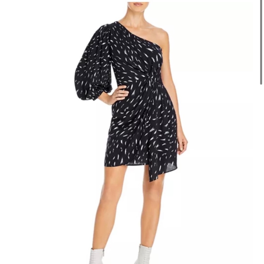 IRO Akubra One Shoulder Dress